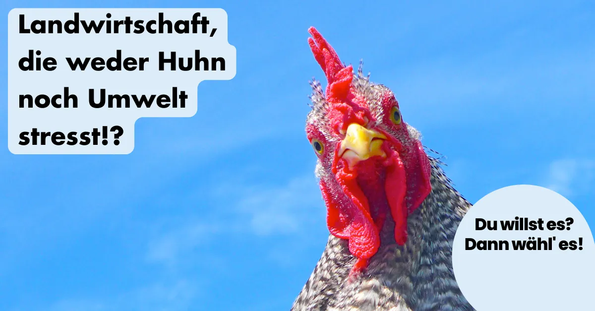 ohnelogo_linkedin_landwirtschaft_hahn